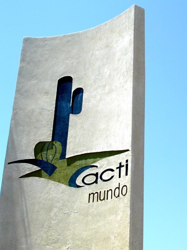 Cabo San Lucas Around Town – Cacti Mundo