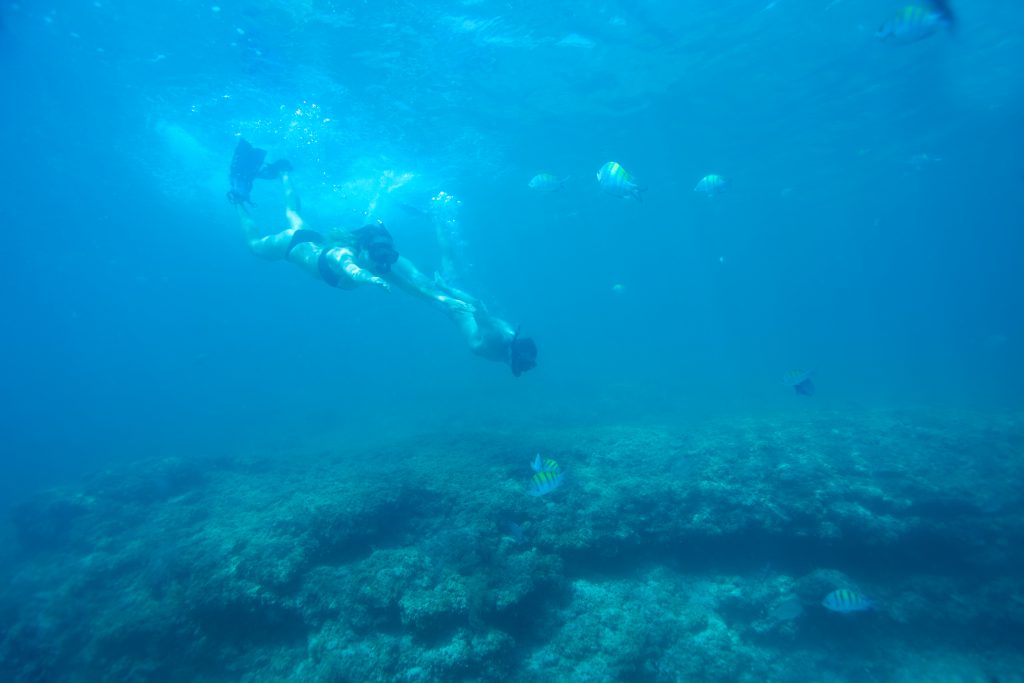 loreto snorkeling