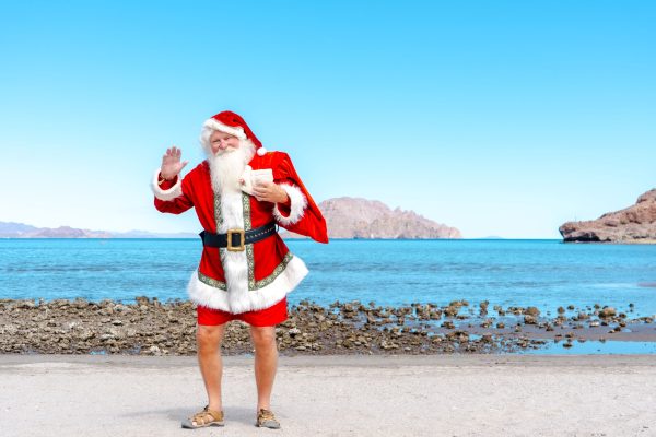 Boletín de diciembre 2025