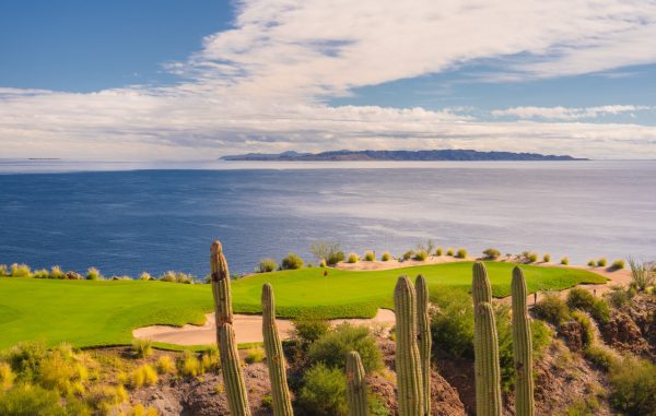 Wildlife & Nature When Visiting Mexico