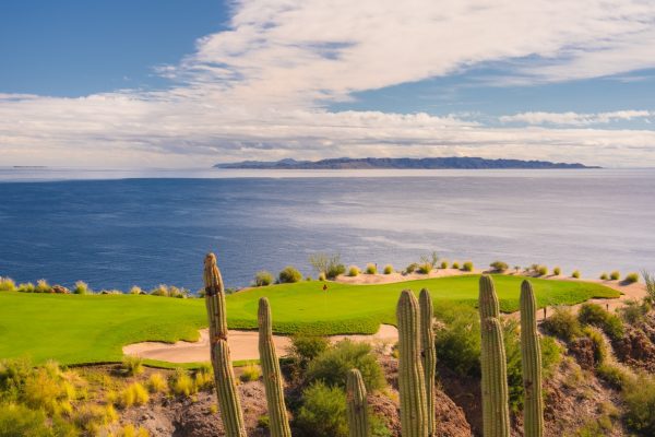 Wildlife & Nature When Visiting Mexico