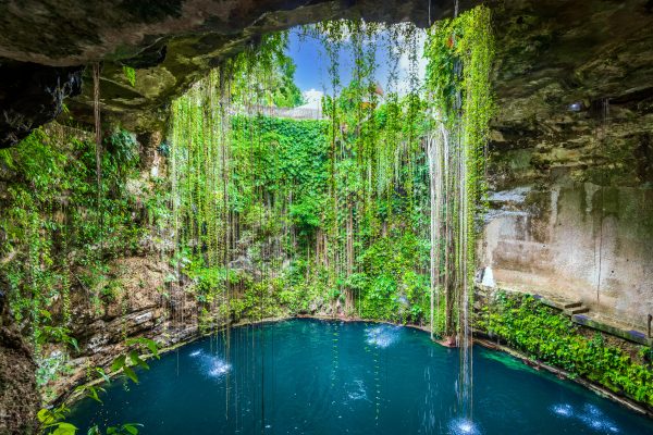 The Day You Go Underground: Cancun’s Cenote & Jungle Adventure